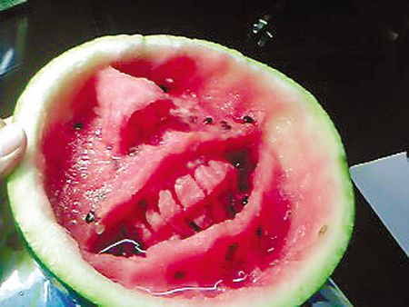 Watermelon man 6 1a0ed Nghệ thuật trên ruột dưa hấu bằng thìa tuyệt đẹp