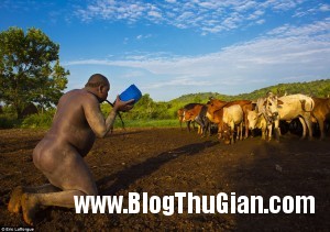 images1282819 bo lac bodi thi beo 1 300x211 Nơi mà những người đàn ông béo được tôn vinh.