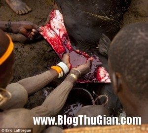 images1282829 bo lac bodi thi beo 10 300x270 Nơi mà những người đàn ông béo được tôn vinh.