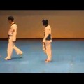 Trận đấu Taekwondo hài hước tôi từng thấy :)))