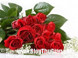 y nghia cua so bong hoa hong 300x225 Các truyền thống thú vị ngày Lễ Tình yêu 