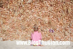 bupbe 4 300x200 Cơn sóng búp bê khổng lồ trên một bãi biển ở ÚC