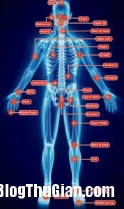 140407 2ong c80c1 178x300 Tự nguyện cho ong đốt của quý để nghiên cứu khoa học
