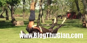 140410 2ngua 63833 300x149 Yoga Ngựa   Môn nghệ thuật kỳ lạ nhất