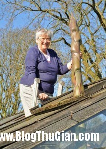 140501 1xr baff0 215x300 Cây xương rồng khổng lồ cao gần 5m