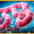 Dịch Ebola  thật đáng sợ..mọi người hãy cùng cảnh giác nhé