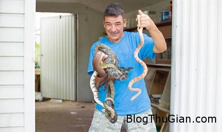 Live with snakes 1 ef2ea Người đàn ông sống chung với rắn hơn 20 năm