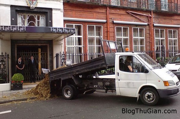 Dịch vụ lạ : nhận gửi phân ngựa của khách hàng đến kẻ thù cong ty cung cap dich vu gui phan ngua toi ke thu cho khach hang Dịch vụ lạ : nhận gửi phân ngựa của khách hàng đến kẻ thù