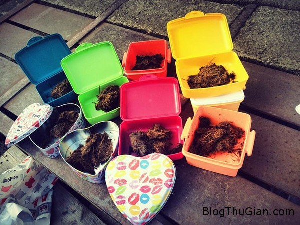 Dịch vụ lạ : nhận gửi phân ngựa của khách hàng đến kẻ thù cong ty cung cap dich vu gui phan ngua toi ke thu cho khach hang1 Dịch vụ lạ : nhận gửi phân ngựa của khách hàng đến kẻ thù