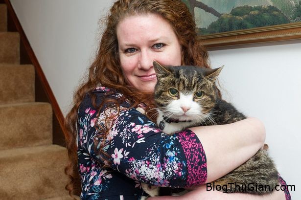 Toby the missing cat 1b36d Hội ngộ với mèo cưng sau 12 năm thất lạc