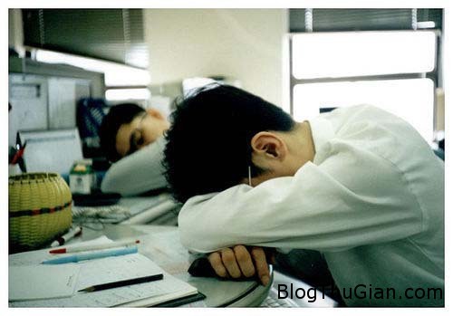 Giải mã giấc mơ thấy bị chơi xấu & nằm ngủ mơi thấy bị phục kích office sleep 1376386545 500x0 Giải mã giấc mơ thấy bị chơi xấu & nằm ngủ mơi thấy bị phục kích