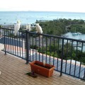 Cockatoos and rainbow lorikeets on our balcony at Terraces, Airlie Beach.
