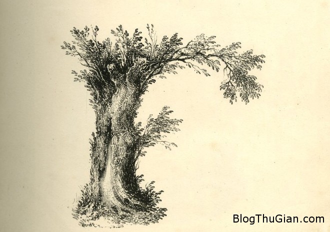 Giải mã giấc mơ thấy chữ F là gì? f Giải mã giấc mơ thấy chữ F là gì?