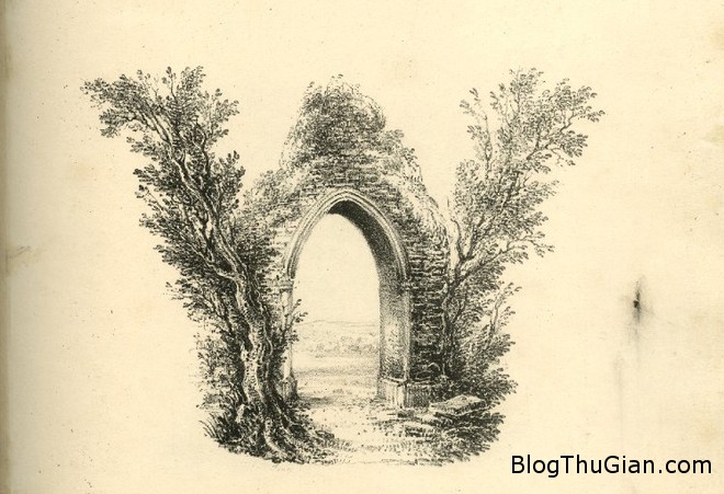 Giải mã giấc mơ thấy chữ W là gì? w Giải mã giấc mơ thấy chữ W là gì?